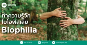 ไบโอฟิลเลีย (Biophilia)