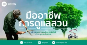 บริการดูแลสวน