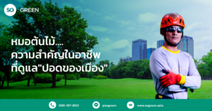 หมอต้นไม้