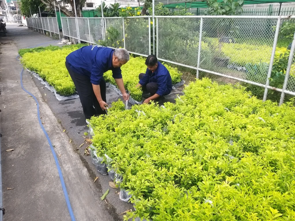 ธนาคารไทยพาณิชย์