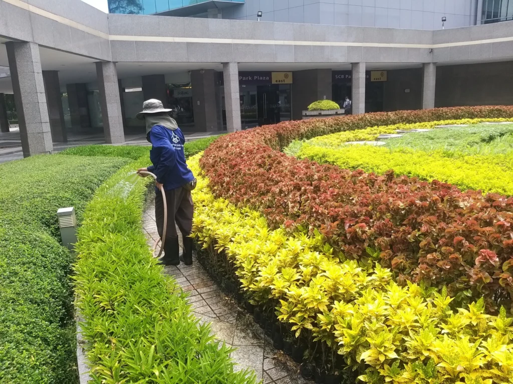 ธนาคารไทยพาณิชย์