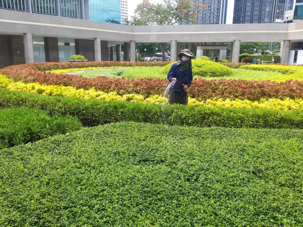 ธนาคารไทยพาณิชย์