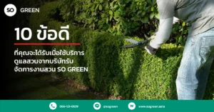 บริษัทจัดการสวน