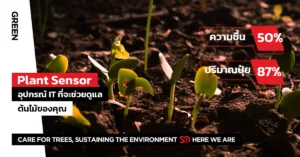 ดูแลต้นไม้