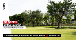 บริษัทดูรับแลสวน