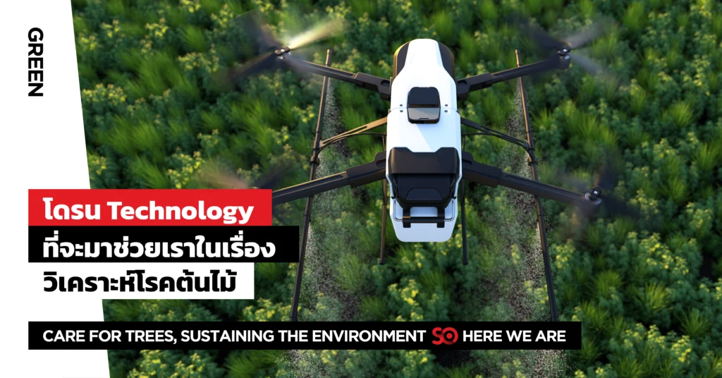 โรคต้นไม้