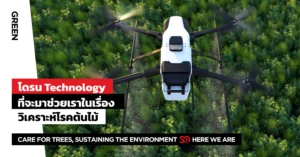 โรคต้นไม้