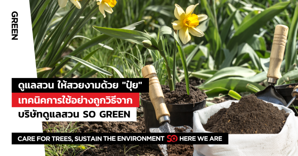 การดูแลสวน