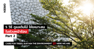 การดูแลต้นไม้