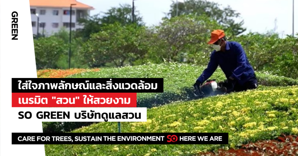 ดูแลสวน