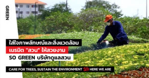 ดูแลสวน