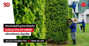 ตัดแต่งพุ่มไม้