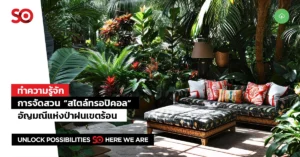 การจัดสวน