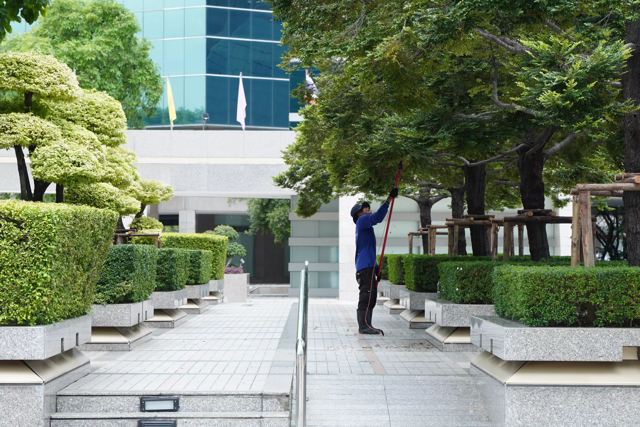 ปรับภูมิทัศน์