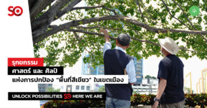 พื้นที่สีเขียว