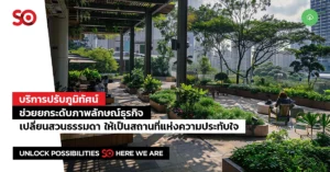 ปรับภูมิทัศน์