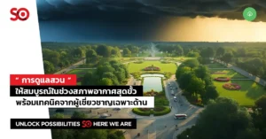 การดูแลสวน