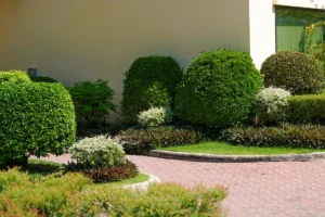 บริการดูแลสวน