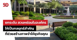 สวนหย่อม