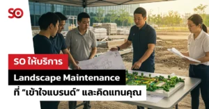 Landscape Maintenance