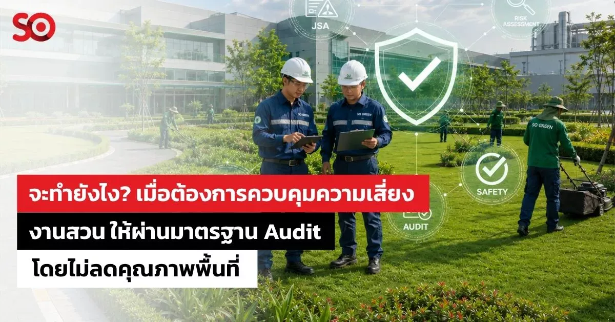 งานสวน