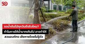 สวนองค์กร