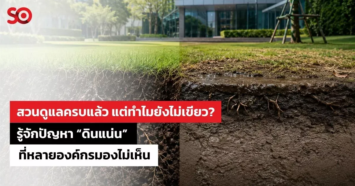 ดินแน่น
