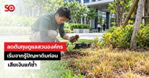 ลดต้นทุนดูแลสวน