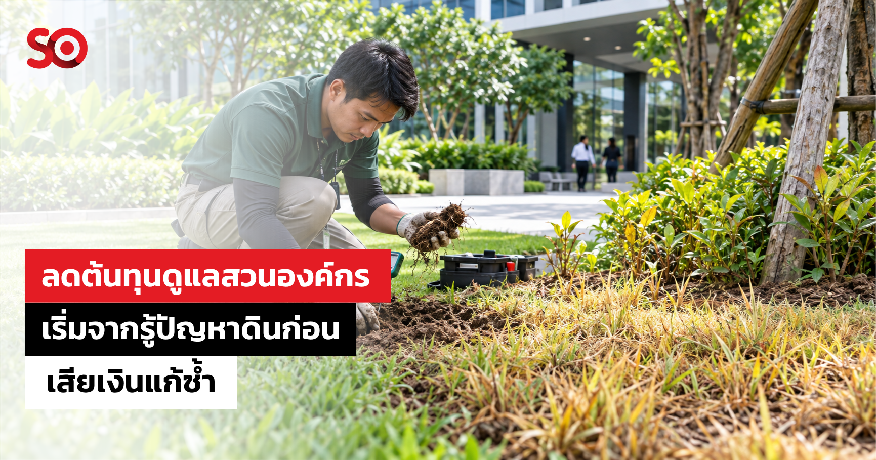 ลดต้นทุนดูแลสวน