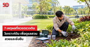 ตรวจวิเคราะห์ดิน